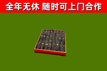 温岭市回收海参